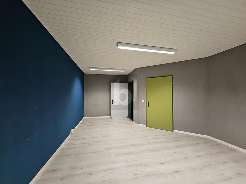 Renovated - Individually with Terrace (3)