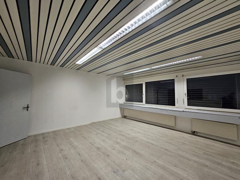Renovated - Individually with Terrace (2)
