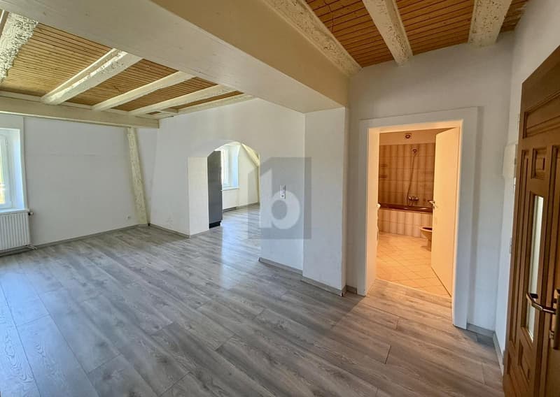 Ampio appartamento all'ultimo piano della villa con giardino (2)