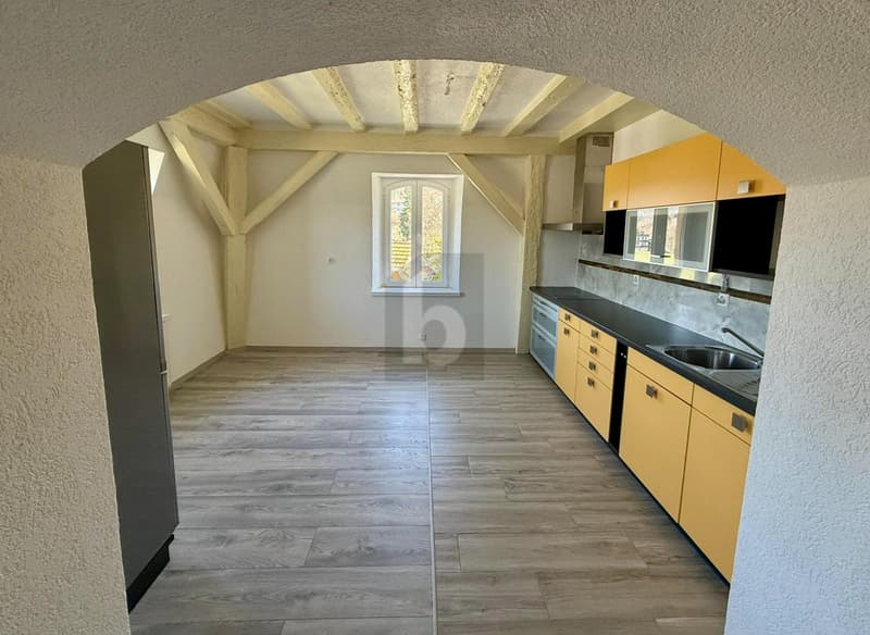 Ampio appartamento all'ultimo piano della villa con giardino (3)