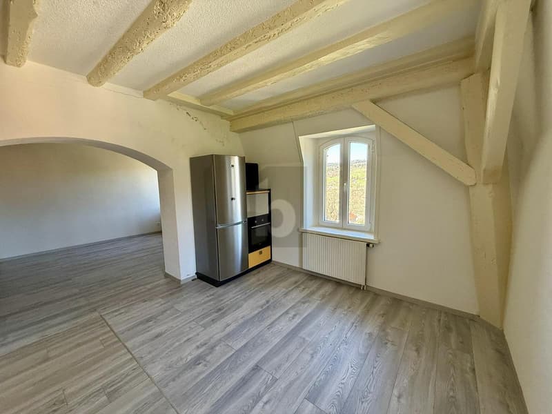 Ampio appartamento all'ultimo piano della villa con giardino (4)