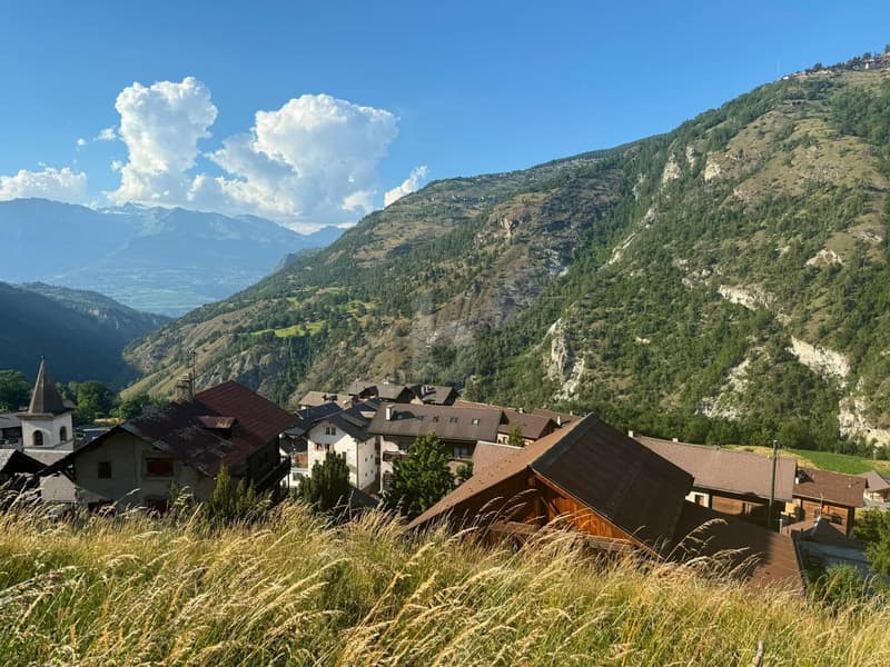 BAUGRUNDSTÜCK MIT FREIER AUSSICHT (3)