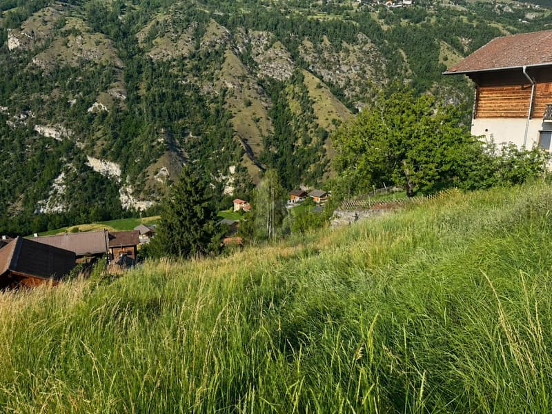 BAUGRUNDSTÜCK MIT FREIER AUSSICHT (5)