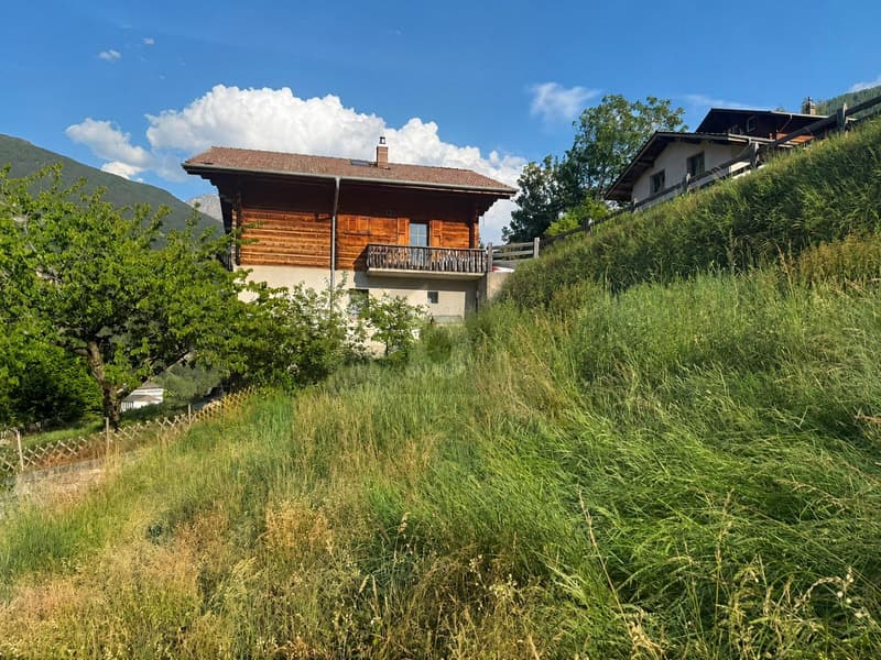 BAUGRUNDSTÜCK MIT FREIER AUSSICHT (4)