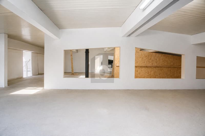 BRIGHT, MODULAR, HIGH POTENTIAL (4)