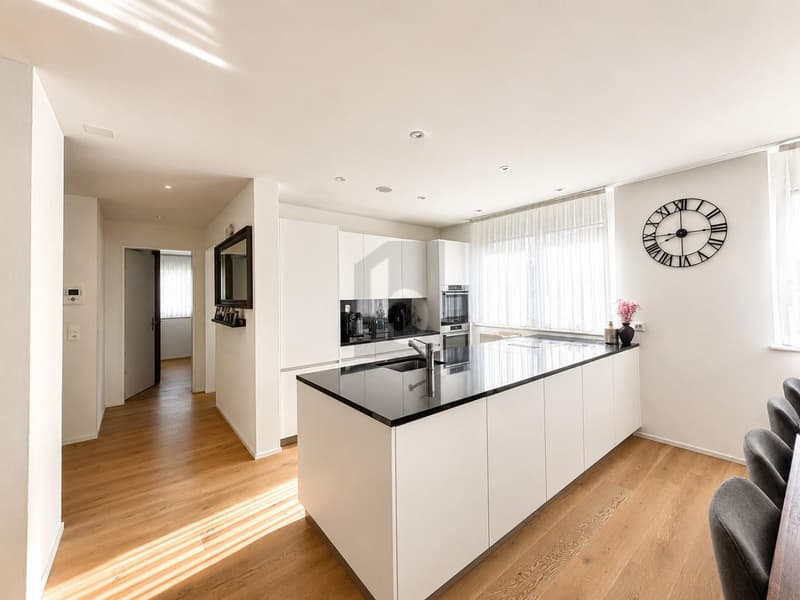 Modern with Loggia (2)