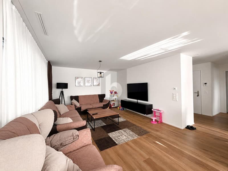 Modern with Loggia (4)