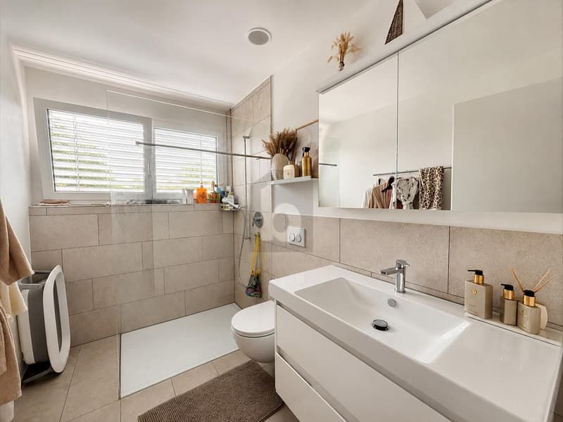 Modern with Loggia (3)