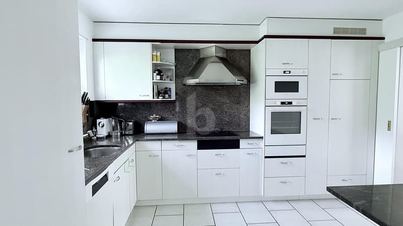 HIGHEST COMFORT, WITH SAUNA, WHIRLPOOL & GARDEN (4)