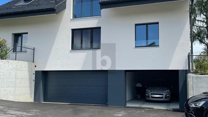 APPARTEMENT MANSARDÉ CHALEUREUX ET LUMINEUX (4)