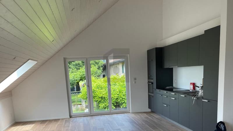 APPARTEMENT MANSARDÉ CHALEUREUX ET LUMINEUX (2)
