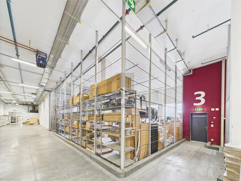 UTILIZZO POLIVALENTE, CON MAGAZZINO PROPRIO (5)