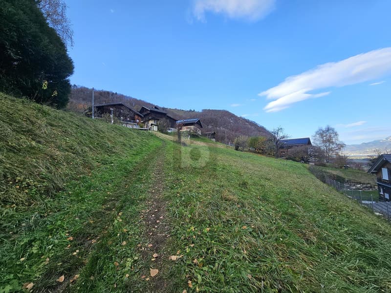 MOLTO SOLEGGIATO CON VISTA MONTAGNA (4)