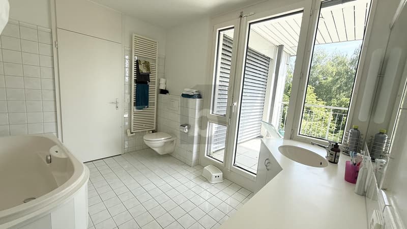 Gioiello verde in città con studio separato (5)