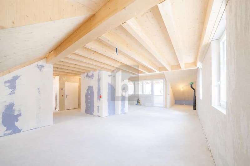 LUXE AVEC ACCÈS DIRECT PAR ASCENSEUR (4)