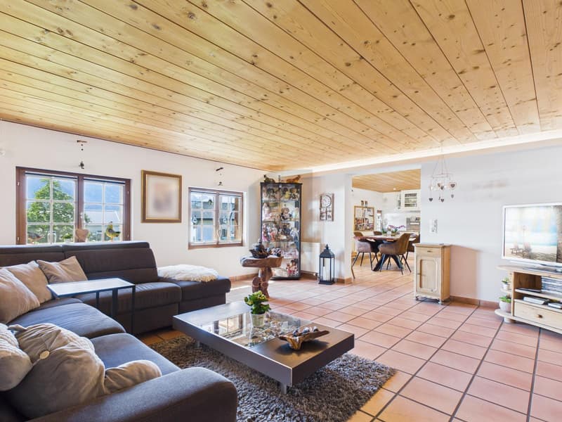SPACIOUS LIVING WITH GRISONS CHARM (4)