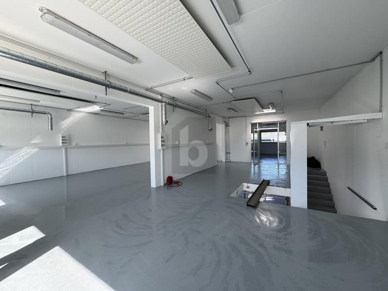 HALLE DOPPIA COMPLETAMENTE NUOVA! (4)