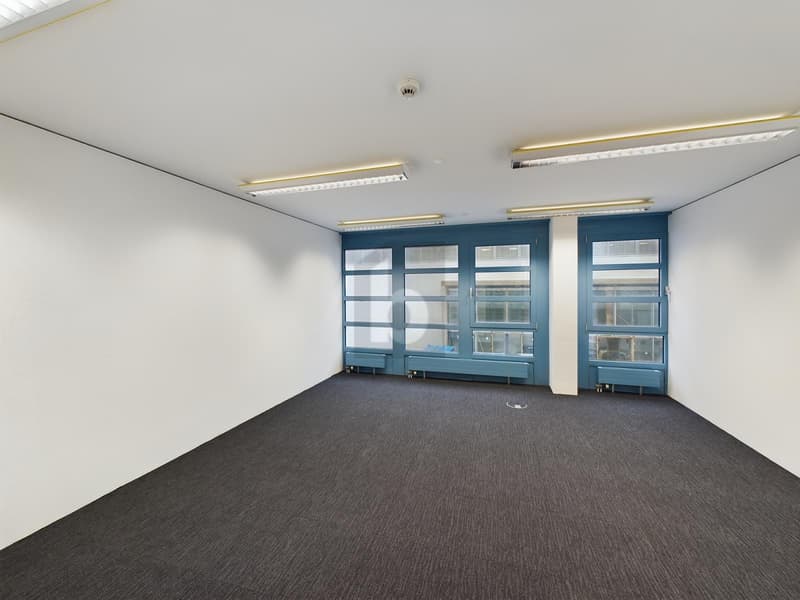 BRIGHT AND SPACIOUS, IN VARIOUS SIZES (1)