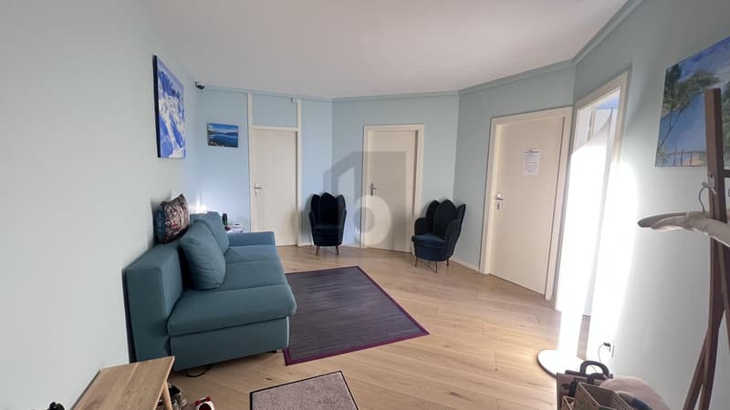 Im Herzen von Eaux-Vives komplett renoviert (3)
