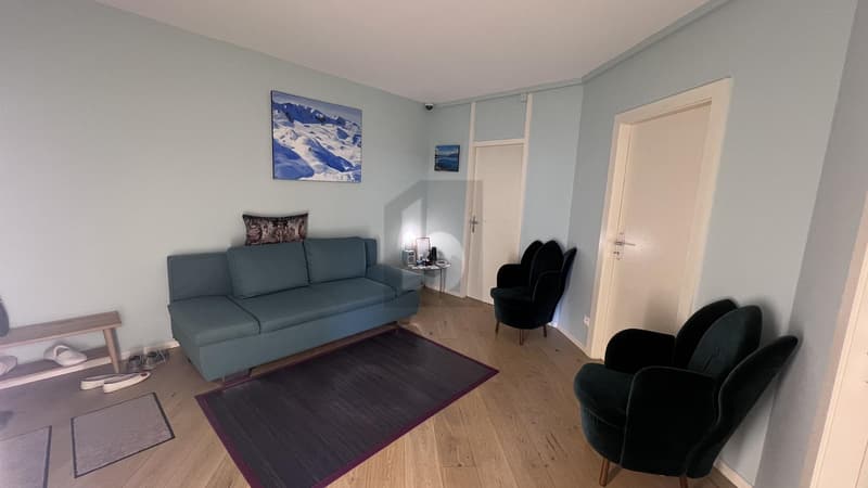 Im Herzen von Eaux-Vives komplett renoviert (4)