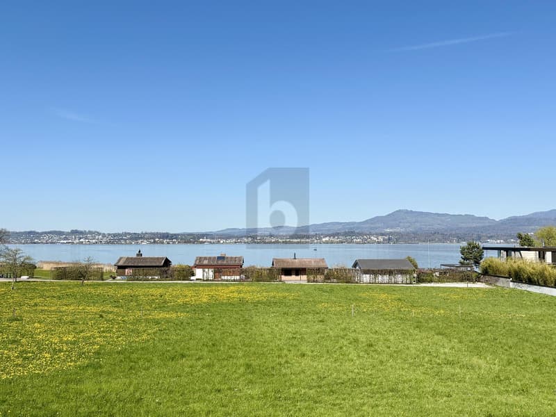 EXCLUSIVE, SUNNY AND WITH DEVELOPMENT POTENTIAL (1)