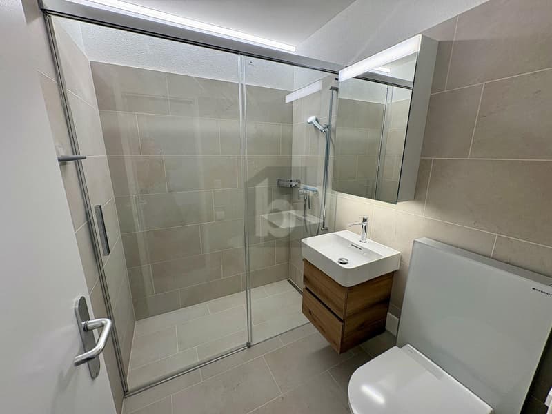FRESHLY RENOVATED, WITH A VIEW OF THE GREEN (5)