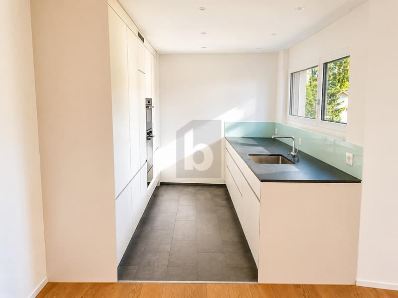 EXCLUSIVE WITH TWO TERRACES (3)