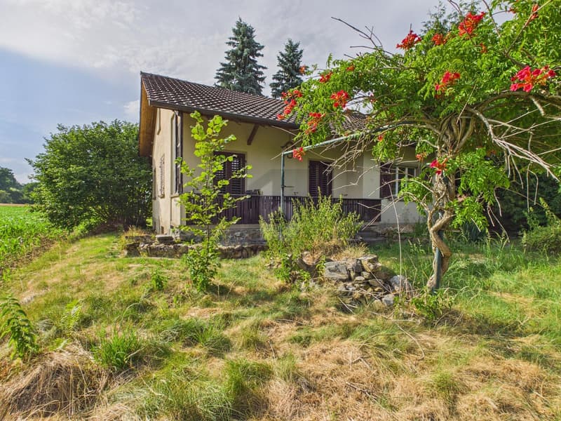DREAM LOCATION - SURROUNDED BY AGRICULTURAL ZONE! (1)