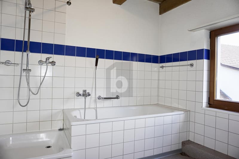 Renovated, with separate annex (5)