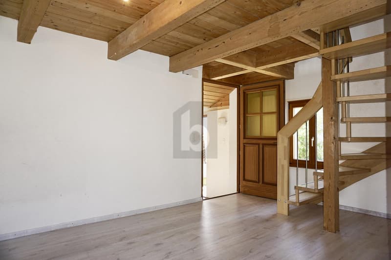 Renovated, with separate annex (1)