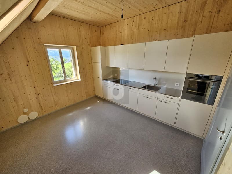 NEUBAU MIT MODERNEM WOHNKOMFORT (1)