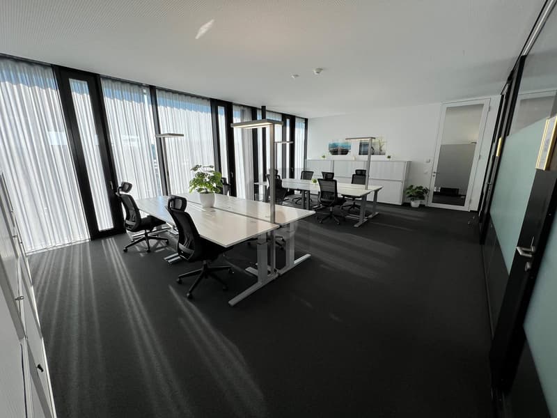 Light-Flooded, Modern, and Flexible (4)