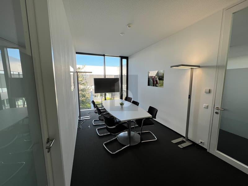 Light-Flooded, Modern, and Flexible (2)