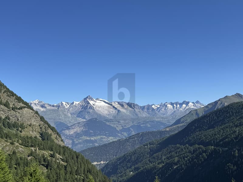 Opportunità alberghiera unica nel cuore delle Alpi (2)