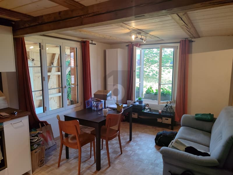Charming, close to nature, with a lot of wood (2)