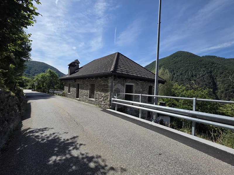 TYPICAL, SPACIOUS WITH LOTS OF SUNLIGHT AND NATURE (1)