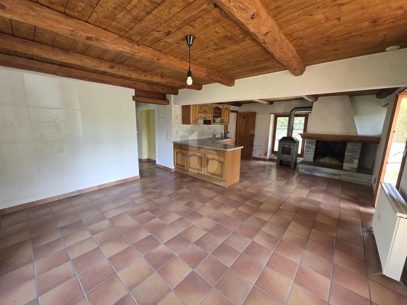 TYPICAL, SPACIOUS WITH LOTS OF SUNLIGHT AND NATURE (4)