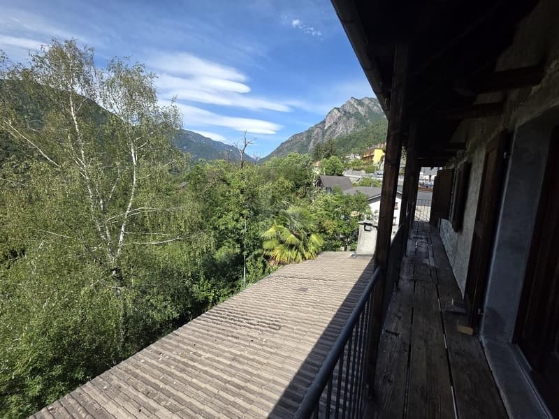 TYPICAL, SPACIOUS WITH LOTS OF SUNLIGHT AND NATURE (3)
