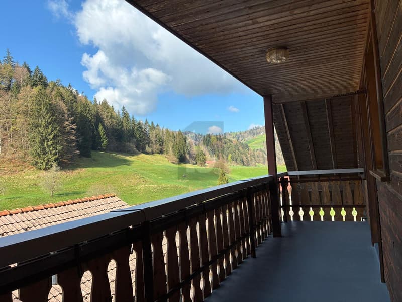 SPACIOUS AND CLOSE TO NATURE WITH BALCONY (2)