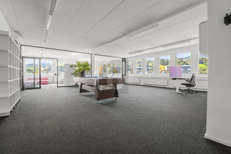 REPRESENTATIVE AND VERSATILE OFFICE SPACE (1)