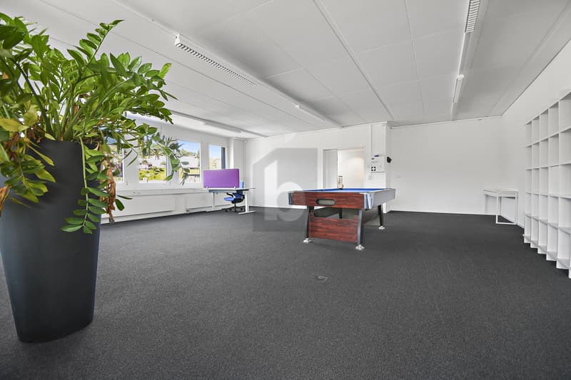 REPRESENTATIVE AND VERSATILE OFFICE SPACE (2)