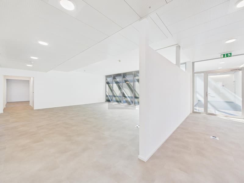 IDEAL FOR YOUR LARGE-SCALE PROJECT (3)
