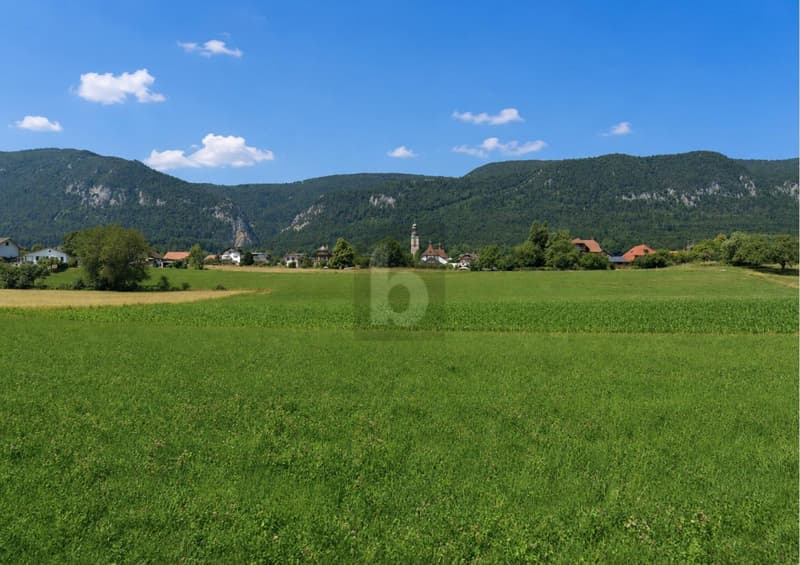 Posizione tranquilla con panorama giurassico e alpino (1)