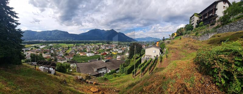 Sunny and quiet with a view (1)
