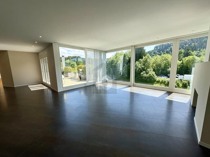 ESPACIEUX AVEC TERRASSE ET SAUNA (4)