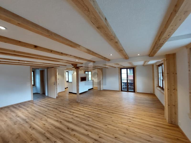 MODERNE, RENOVIERT UND GROSSZÜGIG (4)