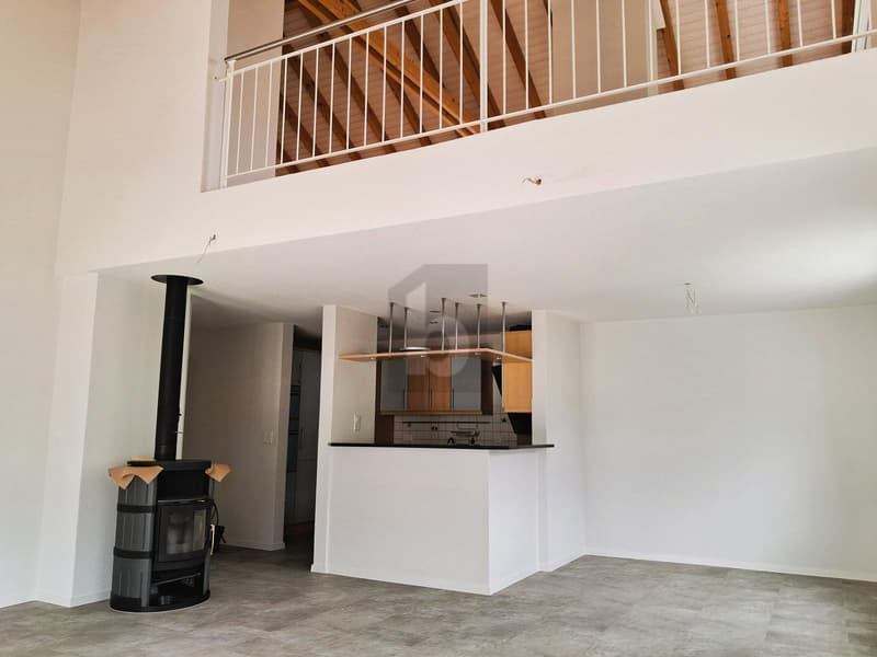 SPACIOUS AND WITH MANY EXTRAS (1)