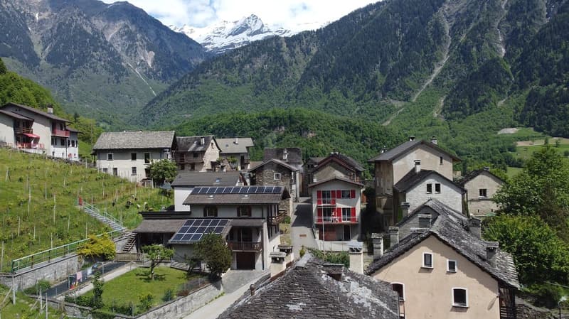 Immeuble rénové, moderne dans un endroit ensoleillé et calme (5)