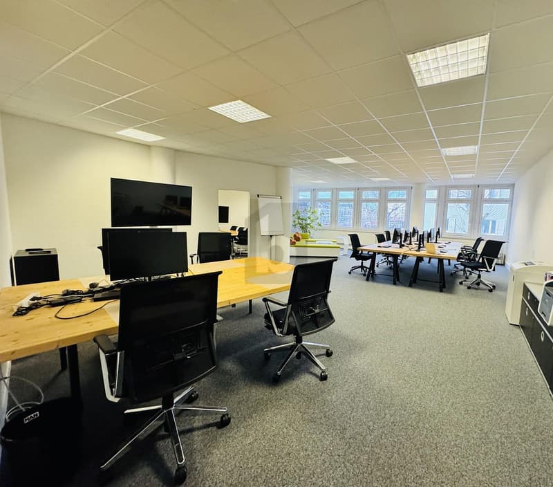 SPACIOUS, BRIGHT ROOMS IN A CENTRAL LOCATION (4)