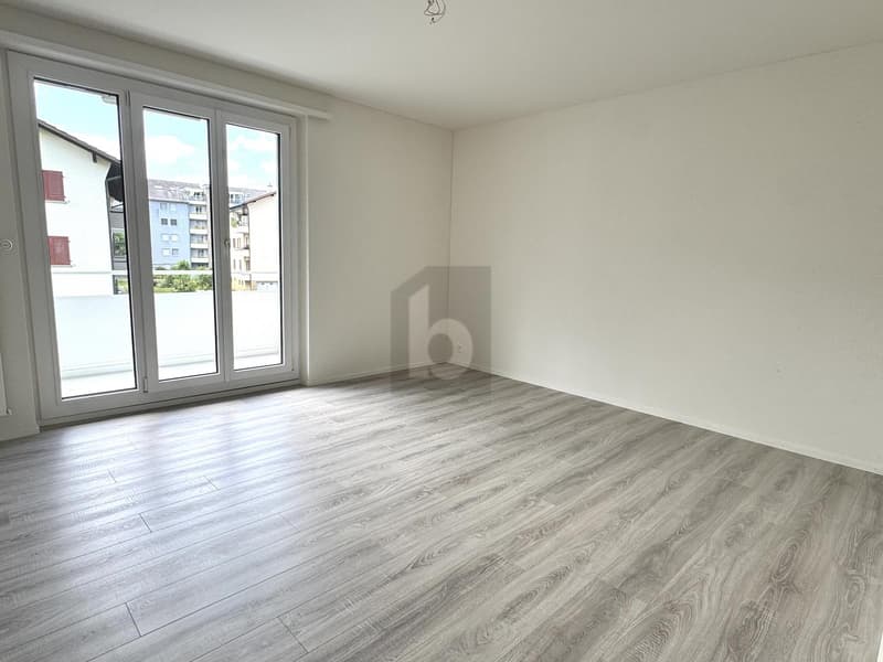 ESPACES LUMINEUX, MODERNES AVEC BELLE VUE (3)